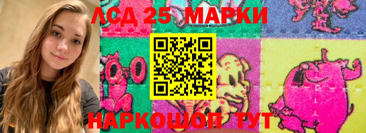 Обнинск  hydra зеркало  Лсд 25 экстази кислота  Вход с VPN  Лсд 25 экстази кислота 