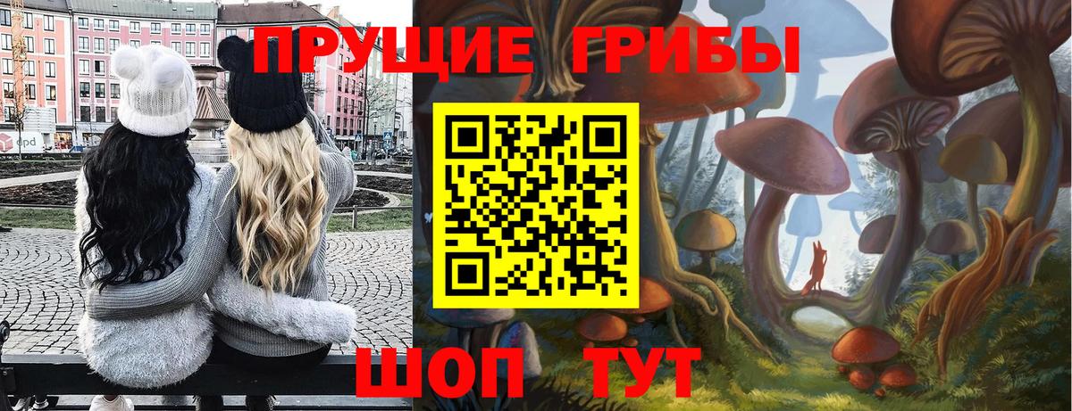 Псилоцибиновые грибы ЛСД Обнинск