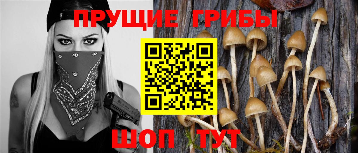 Галлюциногенные грибы GOLDEN TEACHER  Вход с VPN  Обнинск 